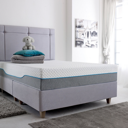 Posture Flex Ariel 2000 Encapsulated Memory Foam Mattress